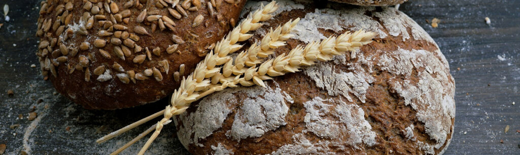 Rustic bread with wheat stalks