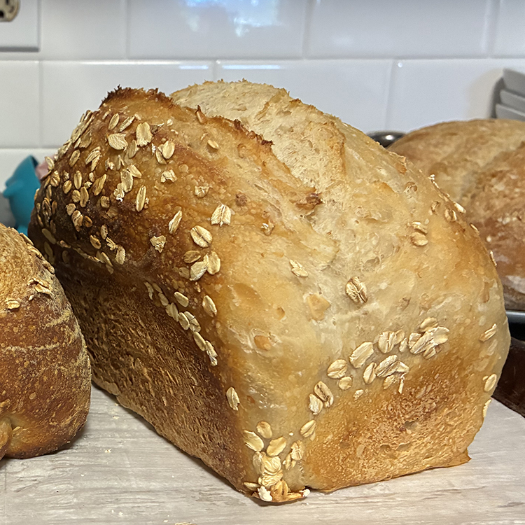 Honey oat sandwich loaf