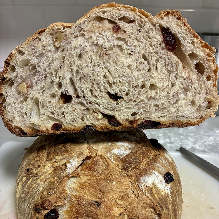 Cranberry Walnut sourdough